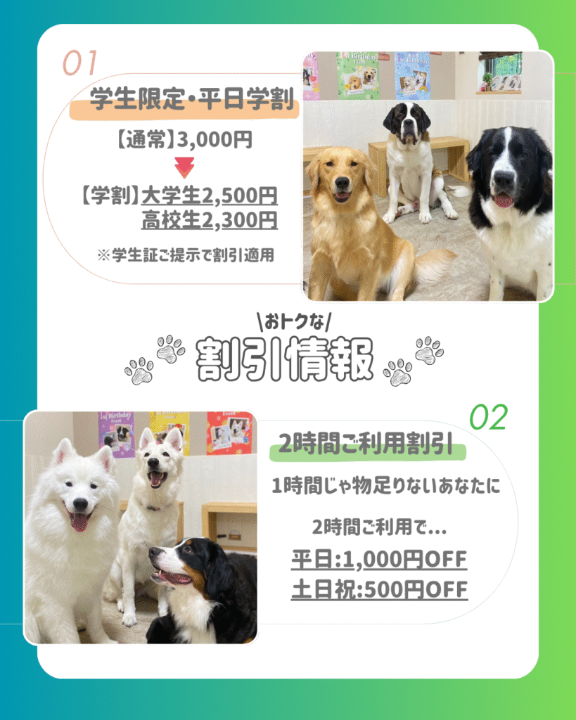 東京の大型犬カフェで使えるお得な学割&2時間利用割引のご案内。可愛い大型犬たちが写った店内写真付き。