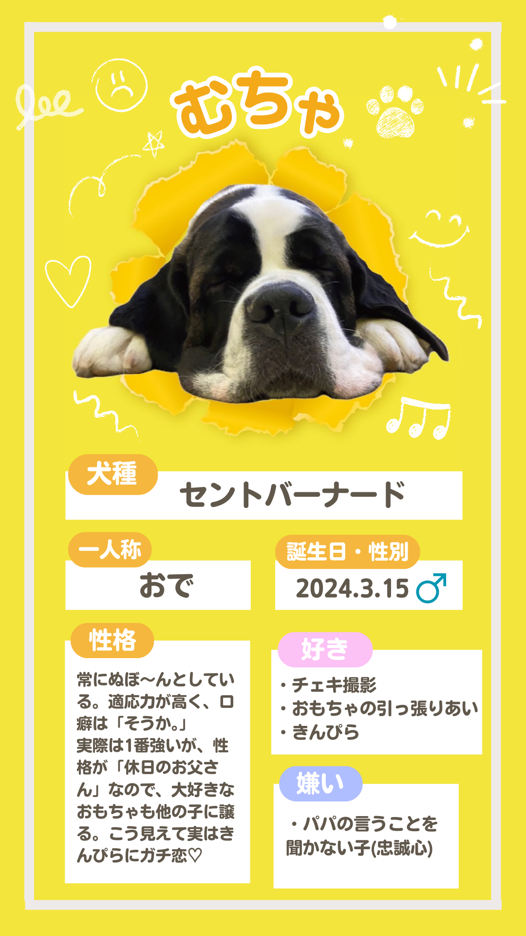 セントバーナードの仔犬の紹介