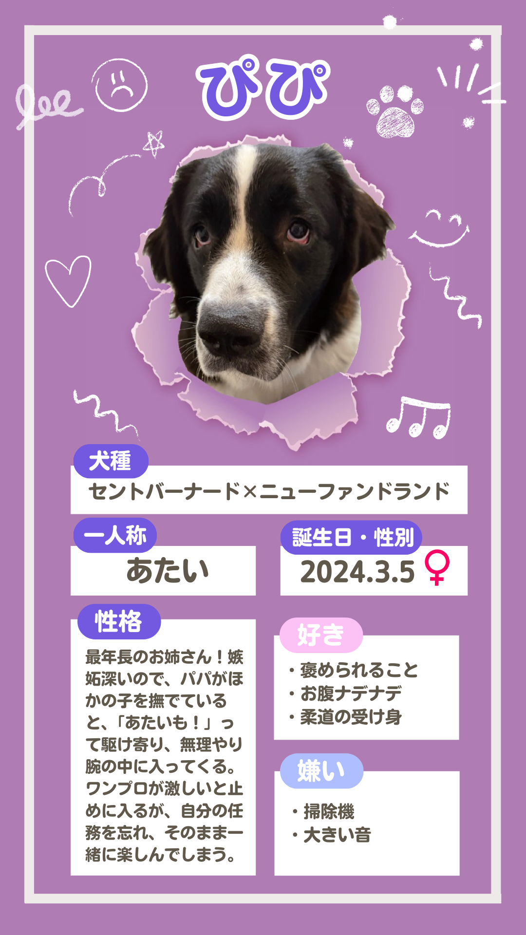 ニューファンドランド×セントバーナードの仔犬の紹介