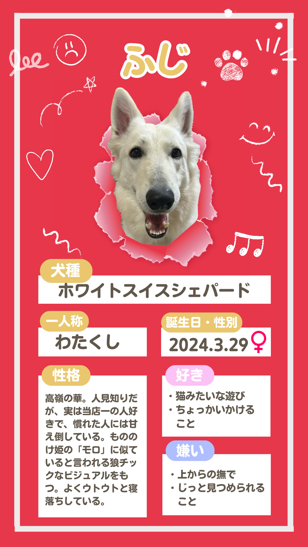 ホワイトスイスシェパードの仔犬の紹介