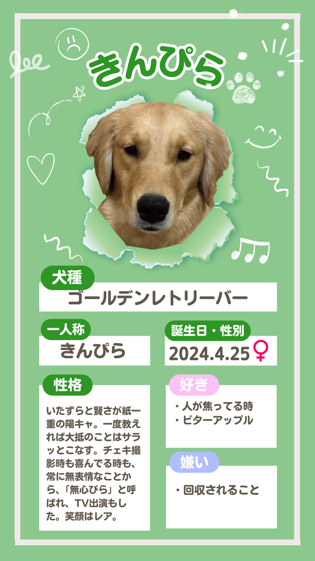 ゴールデンレトリバーの仔犬の紹介