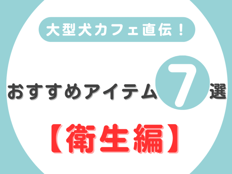 大型犬カフェ直伝！おすすめアイテム7選【衛生編】