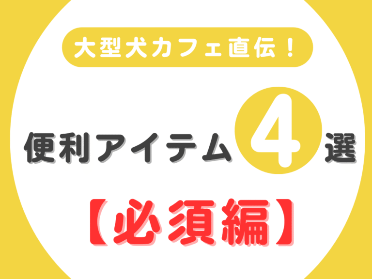 大型犬カフェ直伝！便利アイテム4選【必須編】