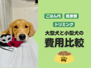大型犬と小型犬の費用比較、ごはん代、医療費、トリミング