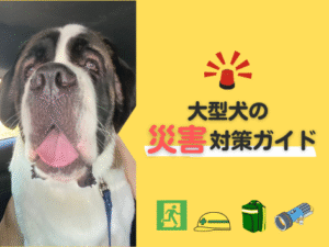 犬の災害対策ガイド