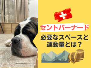 千とバーナードに必要なスペースと運動量