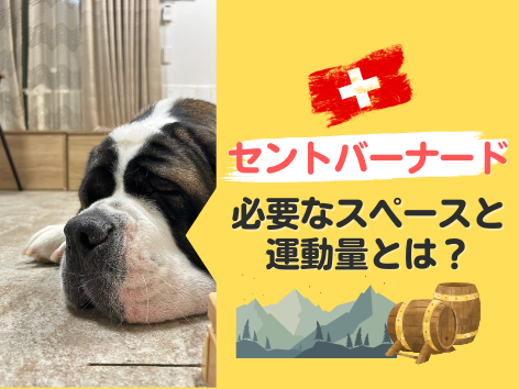 千とバーナードに必要なスペースと運動量
