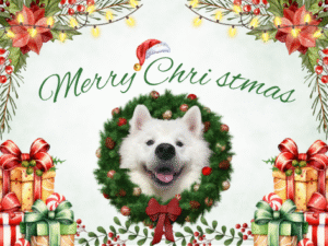 犬カフェのクリスマス