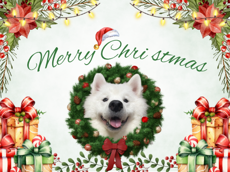 犬カフェのクリスマス