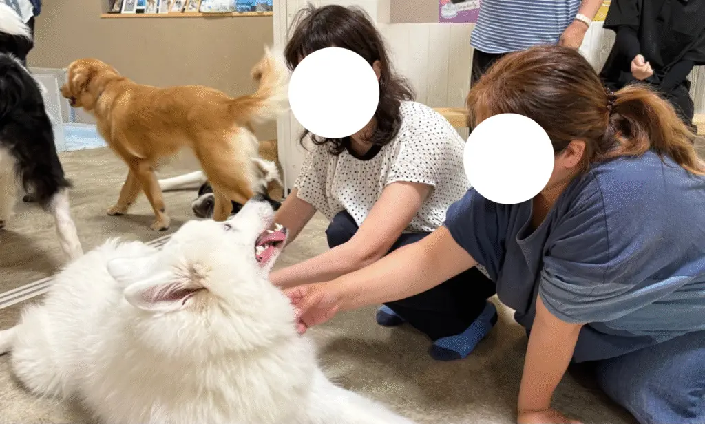 「土の夢」様ご訪問時のふれあいの様子