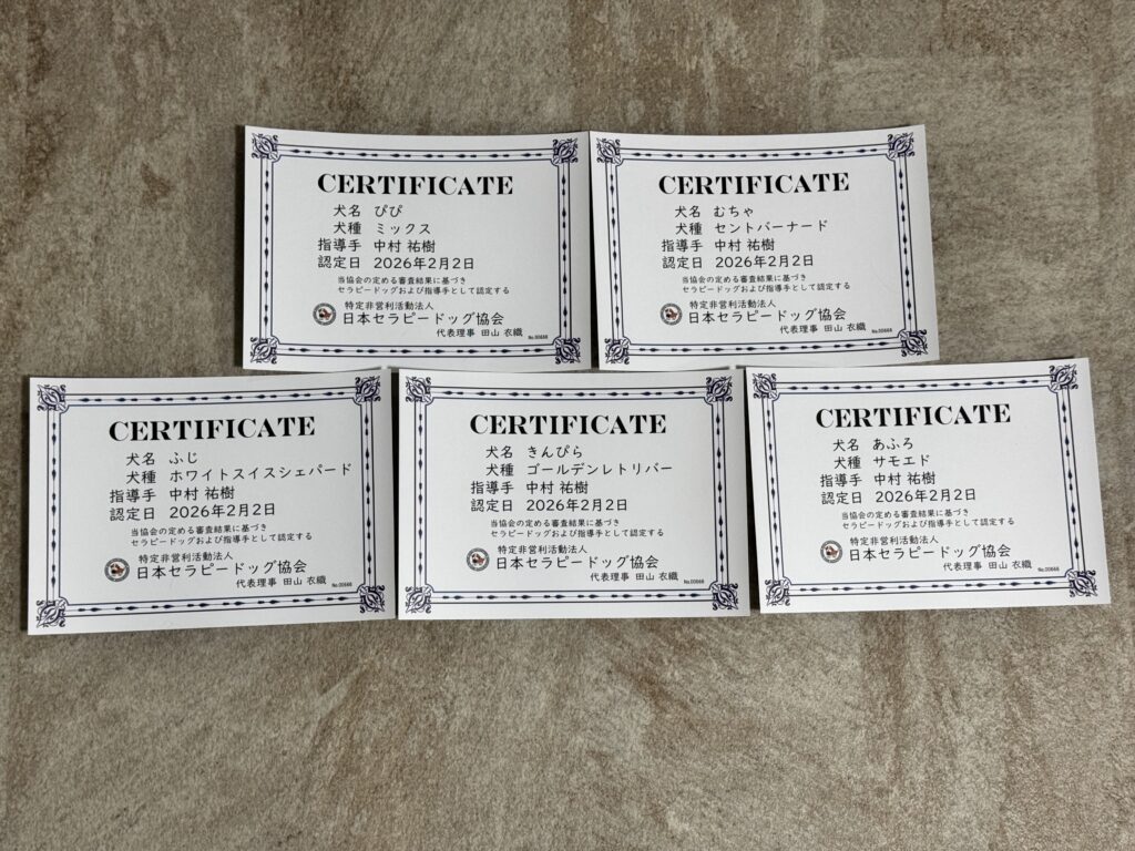 5頭のセラピードッグ認定証