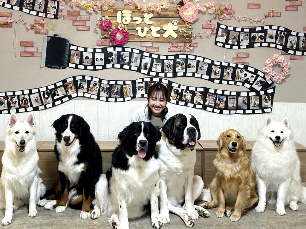 南後杏子さんとほっとひと犬に在籍の６頭の集合写真。