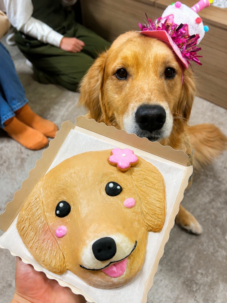ゴールデンレトリバーの似顔絵ケーキ