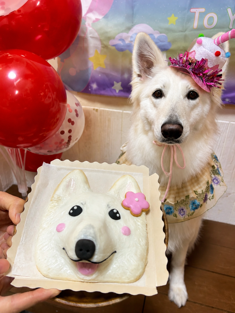 ホワイトスイスシェパードの似顔絵ケーキ