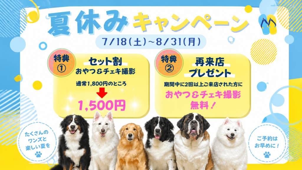 犬カフェの夏休み企画の訴求ポスター
