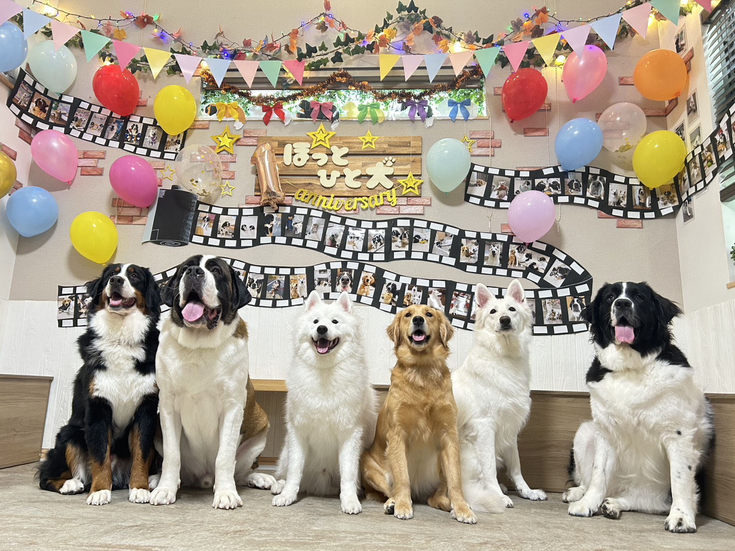 大型犬カフェ ほっとひと犬の外観