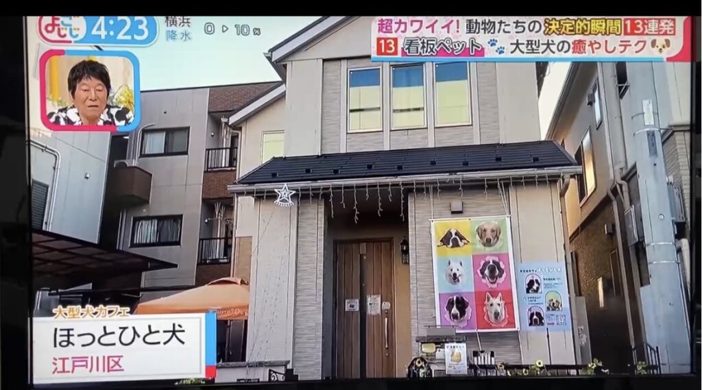 東京都江戸川区瑞江にある、大型犬カフェ ほっとひと犬の外観