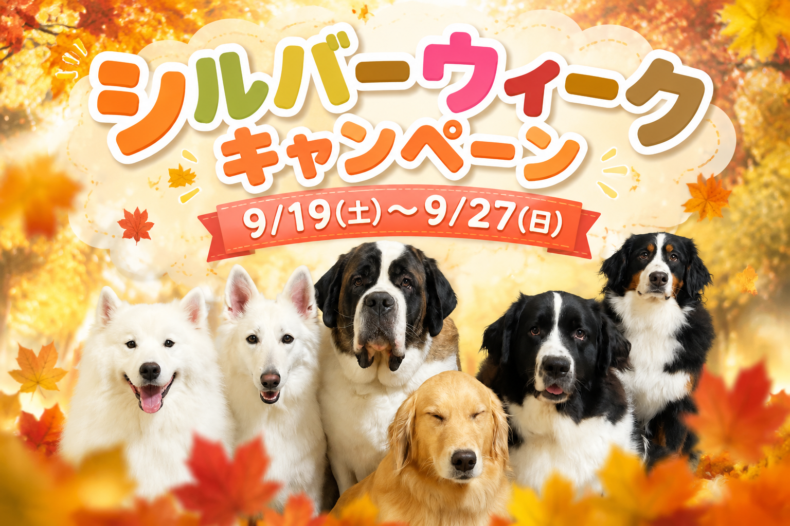 シルバーウィークのアイキャッチ画像