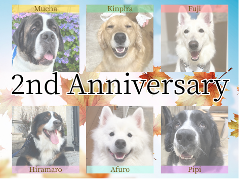 2周年記念イベントアイキャッチ