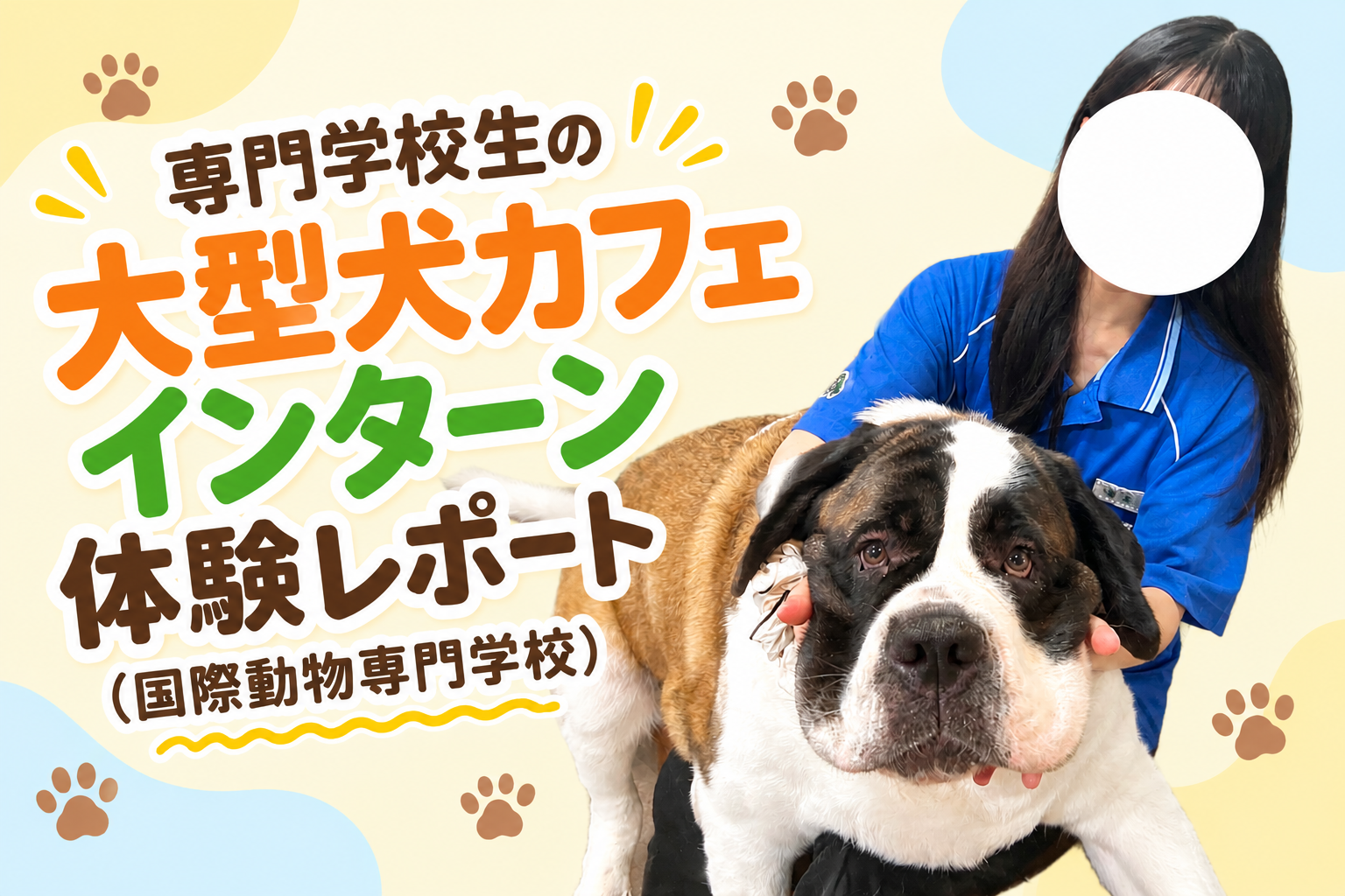 インターン生に抱っこされるセントバーナードの写真。