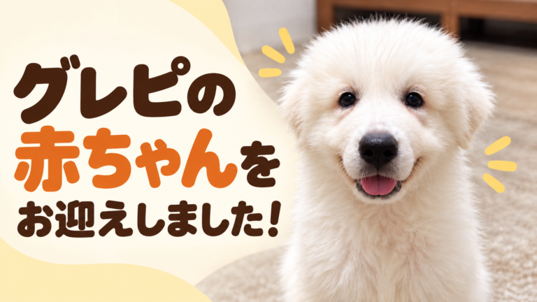 グレートピレニーズの赤ちゃんがこちらを見てニコニコしている様子
