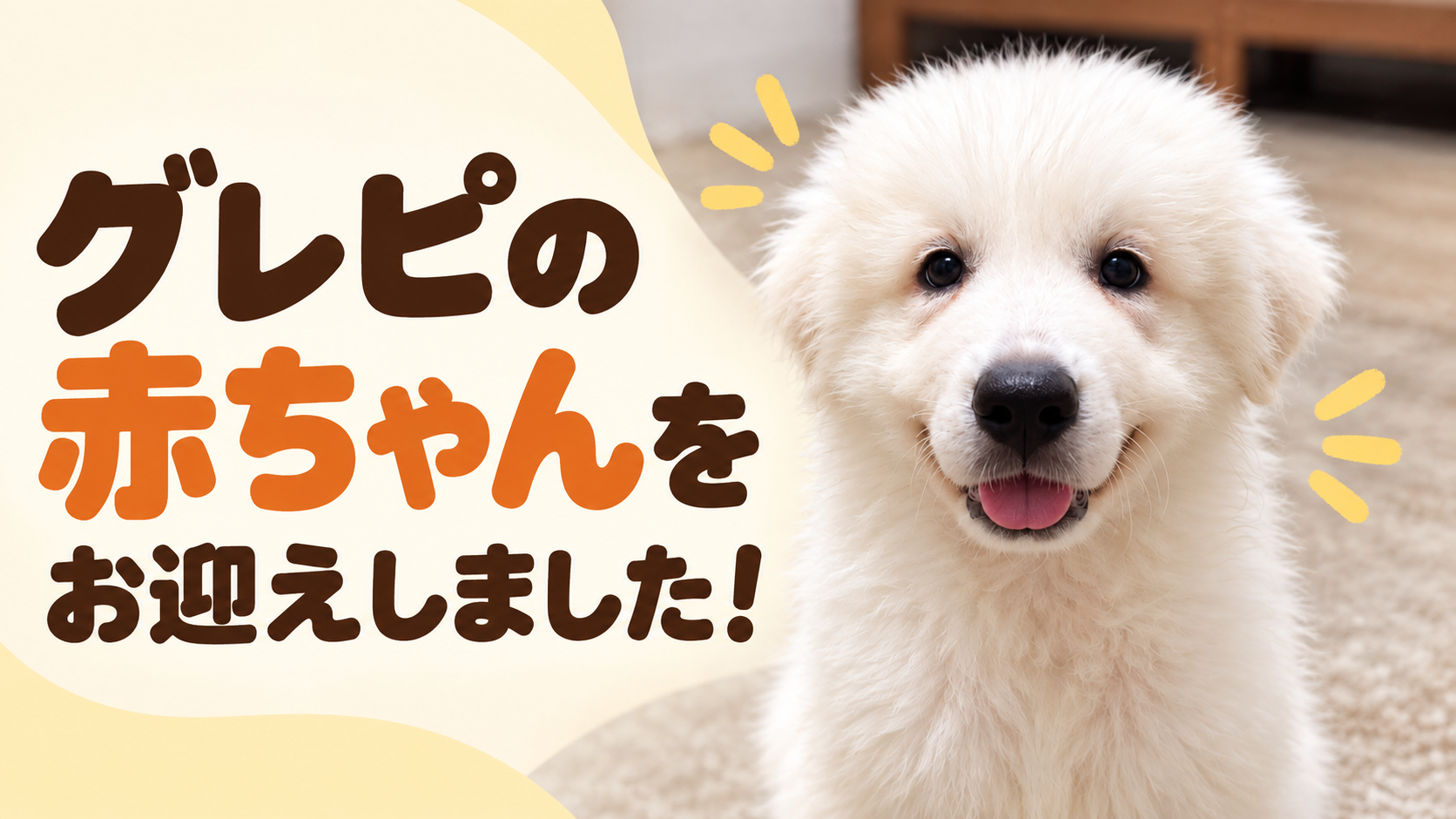 グレートピレニーズの赤ちゃんがこちらを見てニコニコしている様子